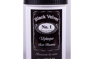 Black Velvet Sustenance Bacteria