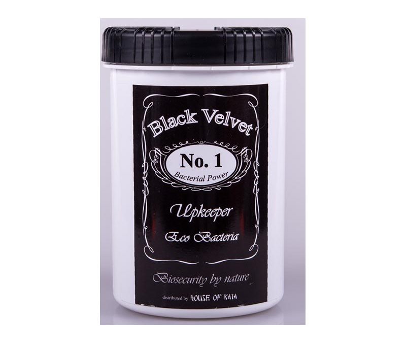 Black Velvet Sustenance Bacteria