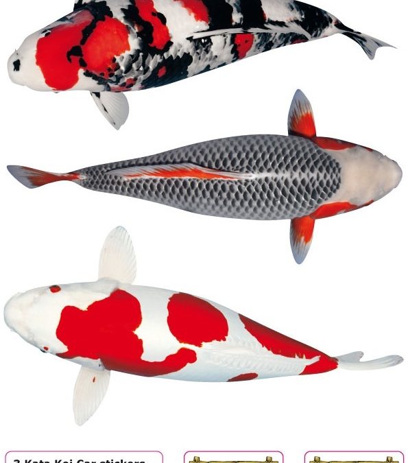 Nr: A Koi Stickers (3 pieces on A4)