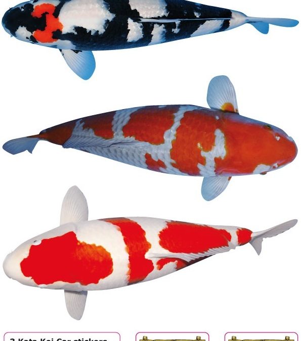 Nr: D Koi Stickers (3 pieces on A4)