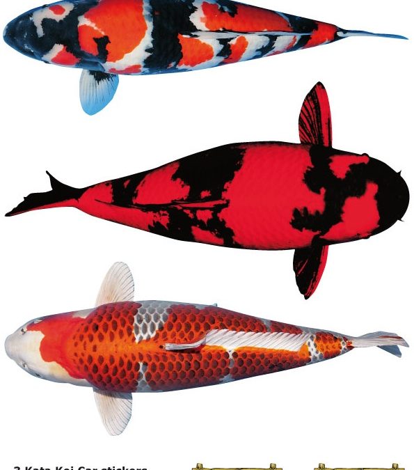 Nr: H Koi Stickers (3 pieces on A4)